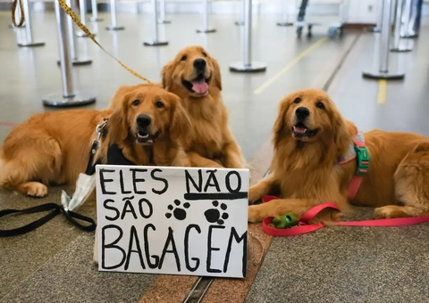 Após morte de Joca, tutores se manifestam em aeroporto