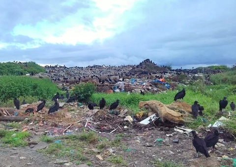 Lixão revela problemas na gestão de 16 cidades do Amazonas; confira lista