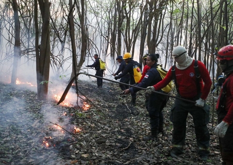 Inalar fumaça de queimadas causa sérios riscos; veja como se prevenir