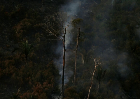 Paralisação do Fundo Amazônia faz país deixar de receber US$ 20 bilhões