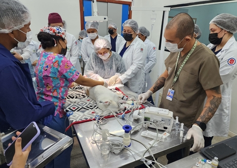 Novembro Azul Pet alerta para saúde dos animais e importância da castração