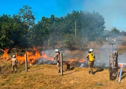 Aplicativo vai ajudar a combater incêndios no sul do Amazonas