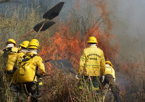Ibama planeja ações preventivas contra incêndios florestais no Amazonas