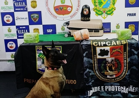 Drogas avaliadas em R$ 500 mil são apreendidas dentro de mala em Coari