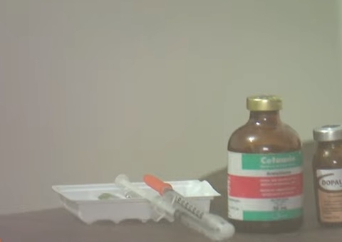 Drogas são apreendidas durante prisão da família de Djidja Cardoso em Manaus