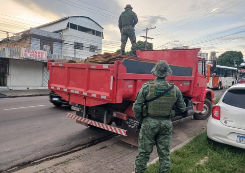 Polícia apreende 400 tábuas transportadas ilegalmente no Parque das Nações