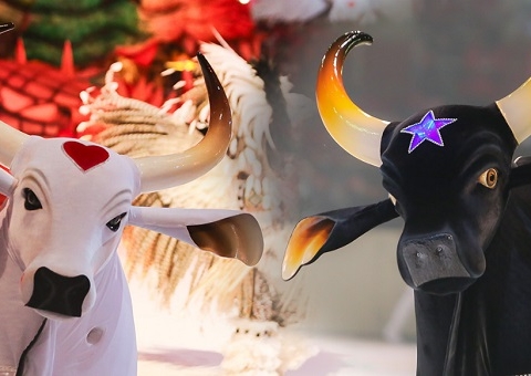 Festival de Parintins: conheça a história da disputa entre os Bois Garantido e Caprichoso