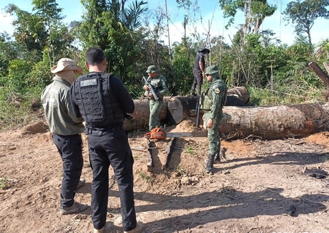 Polícia apreende armas, munições e motoserras em Humaitá