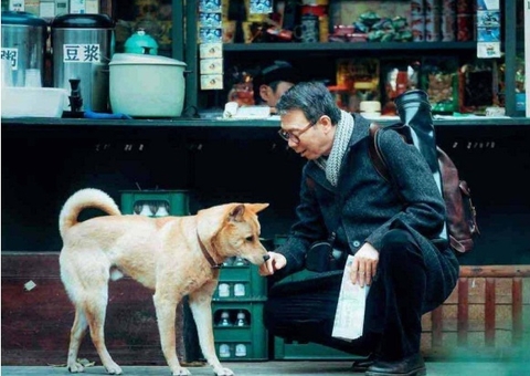 'Hachiko' é um filme de emoções e muitas lágrimas