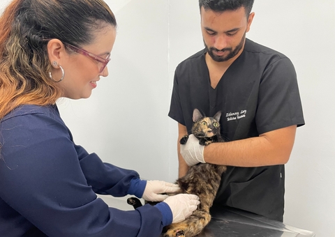 Julho Dourado alerta para importância da vacinação e check-ups veterinários
