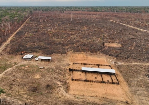 'Operação Dracarys' prende empresário de SP que ordenava queimadas no Amazonas