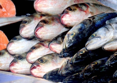 Amazonas descarta 12 casos suspeitos de rabdomiólise