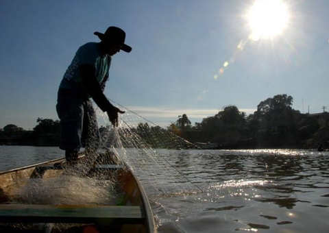 Entra em vigor período de defeso de peixes no Brasil; saiba quais espécies