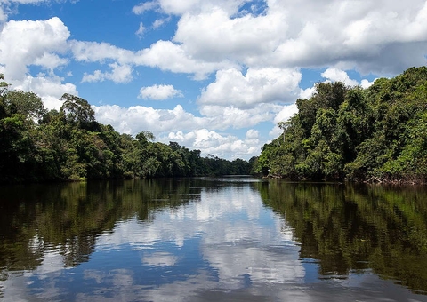 Militares voltarão à atuar contra o desmatamento na Amazônia 