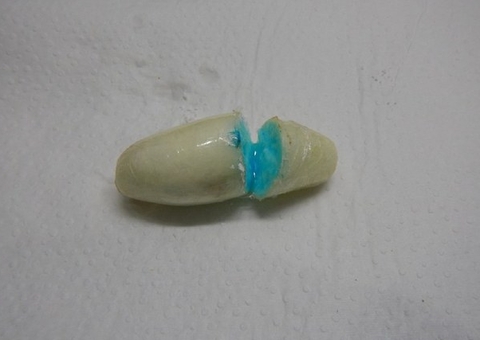 Operação da PF mira mulher que transportava 'mulas' do tráfico internacional em Manaus