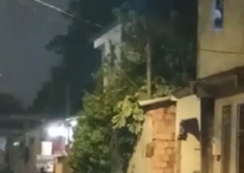 Árvore desaba sobre casas em Manaus durante temporal; vídeo