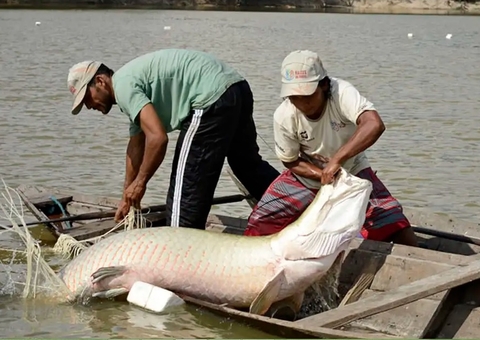 Especialistas se reúnem em Manaus para evento internacional de piscicultura
