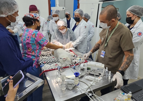 Hospital veterinário inicia cirurgias de castração de pets em Manaus