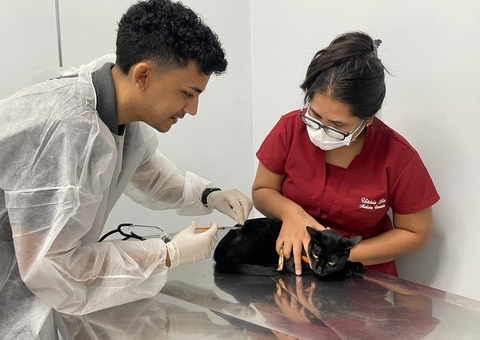 Nilton Lins promove Outubro Rosa Pet para prevenção de doenças em animais