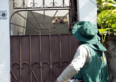 Campanha antirrábica: Manaus abre inscrições para contratação de 250 vacinadores e registradores