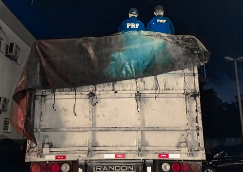 PRF apreende caminhão com madeira e carvão ilegal na BR-174