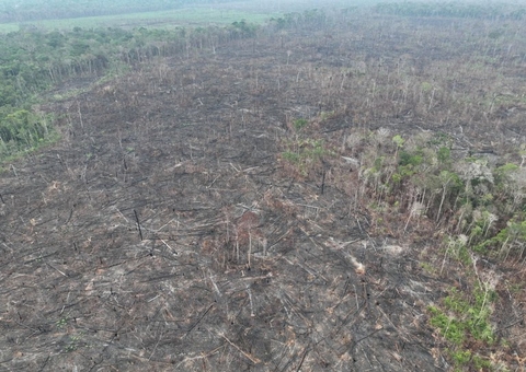 Operação da PF prende suspeito de destruir 250 hectares de mata no Amazonas