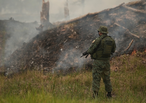 PM prende 83 pessoas em ações contra crimes ambientais no Amazonas