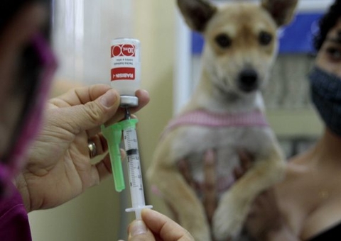 Unidade móvel do CCZ retoma a vacinação antirrábica animal em Manaus