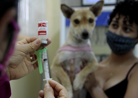 Unidade móvel do CCZ retoma a vacinação antirrábica animal
