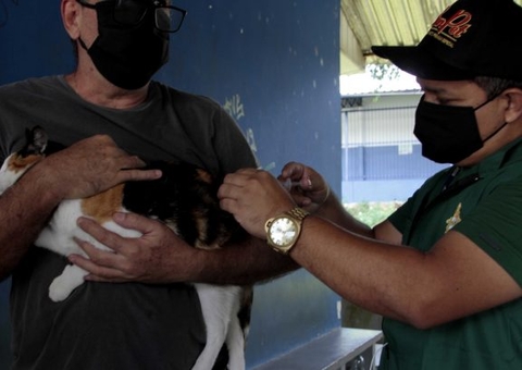 Inscrições para contratação de vacinadores e registradores em Manaus estão abertas; confira