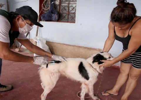 Vacinação antirrábica começa hoje na zona Norte de Manaus