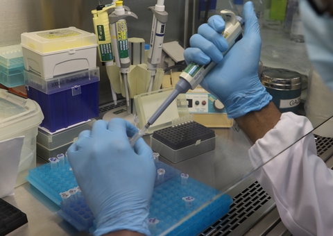 Amazonas tem 15 mortes, totalizando 13.197 óbitos por Covid-19