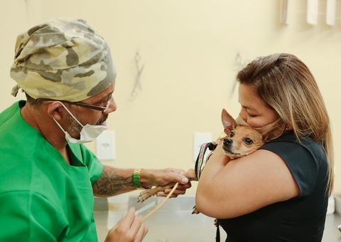 Agentes iniciam vacinação antirrábica em bairros da Zona Sul de Manaus
