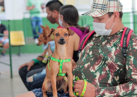 Vacinação Antirrábica em Manaus segue na zona Sul e inicia na zona Oeste