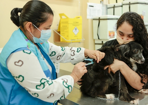 Vacinação antirrábica de cães e gatos em domicílio é iniciada na zona Leste de Manaus