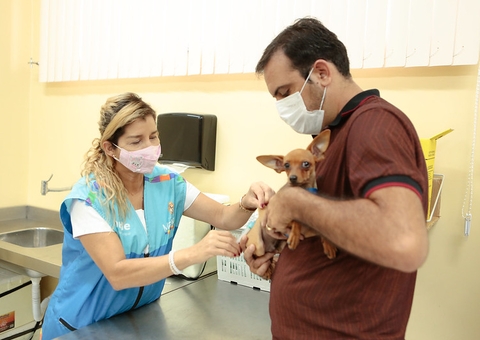 Campanha de vacinação antirrábica segue até sábado nas zonas Oeste e Sul de Manaus