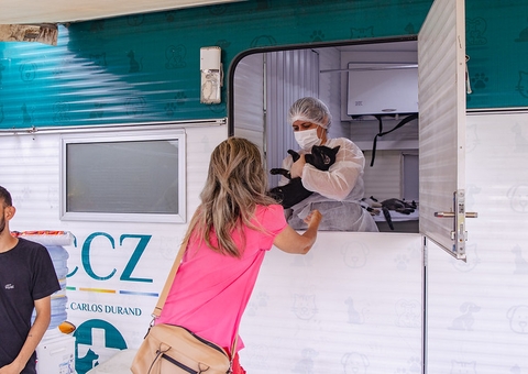 Manaus realiza castração de mais de 200 gatos para reforçar combate à esporotricose