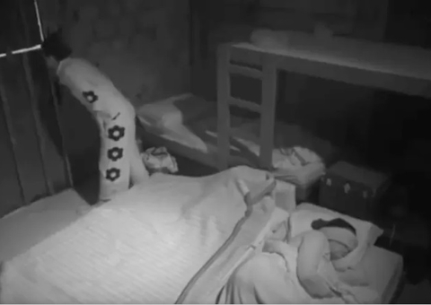 Bia tenta sair da baia para ver fogos de artifício em A Fazenda