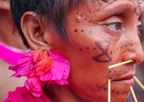 Ufam mobiliza comunidade acadêmica para voluntariado no território Yanomami