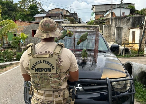 PF prende homem por pescado ilegal e caça de animais silvestres em Tabatinga