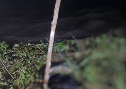 Com cabeça devorada por peixes, homem é achado boiando em rio de Coari