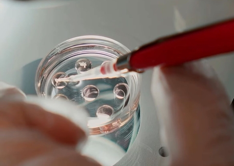 Parintins Agropecuária apresenta tecnologias para criação de animais