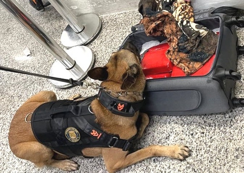 Homem sai de Manaus com 10 kg de haxixe e é preso no Rio Grande do Norte