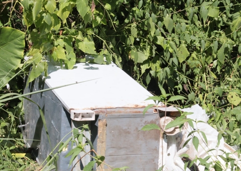 Corpo em decomposição é encontrado dentro de geladeira no Distrito Industrial