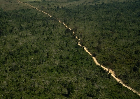 Plano do governo apresenta metas para reduzir desmatamento na Amazônia