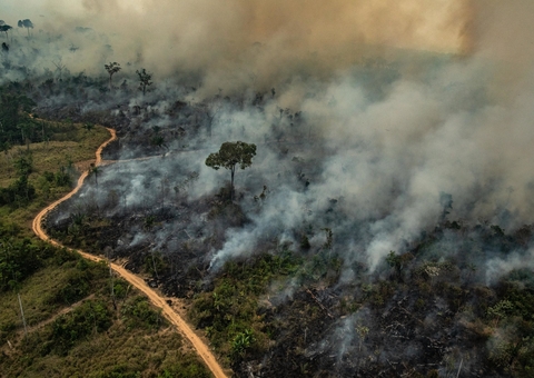Números de queimadas começam a crescer novamente na Amazônia 