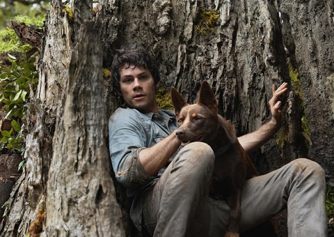 Oscar 2021:  Netflix divulga trailer oficial de Amor e Monstros