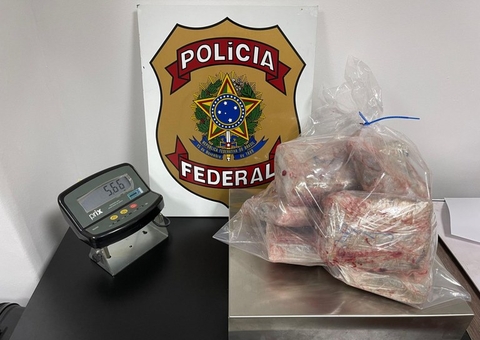 PF prende mulher que saiu de Manaus com maconha escondida em peixes