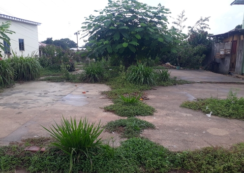 Feirantes reivindicam construção de feira em Beruri, no Amazonas