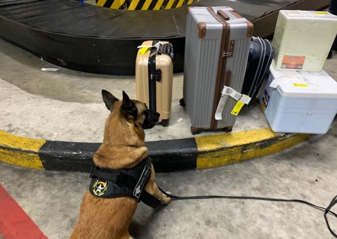 Passageiros são presos com 10 kg de drogas no Aeroporto de Manaus